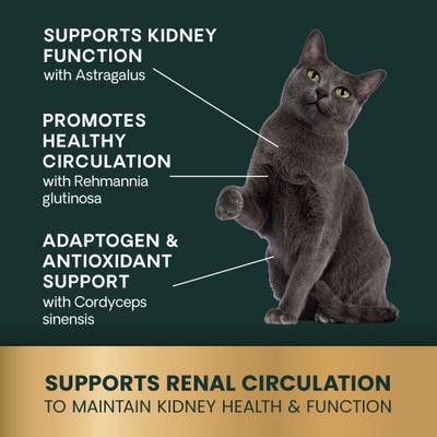 Show full view: VetriScience Renal Essentials Chicken & Fish Flavored Chewable Tablets Kidney Supplement for Cats, 60 count slide 6 of 11