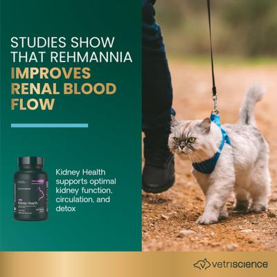 Show full view: VetriScience Renal Essentials Chicken & Fish Flavored Chewable Tablets Kidney Supplement for Cats, 60 count slide 4 of 11