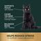 Show in main carousel: VetriScience Composure Unflavored Liquid Calming & Anxiety Supplement for Dogs & Cats, 8-fl oz bottle slide 6 of 11
