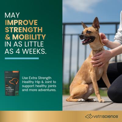 Show full view: VetriScience GlycoFlex 3 Chicken Flavored Chews with Glucosamine & Green-Lipped Mussel Supplement for Small Dogs, 60 count slide 4 of 12