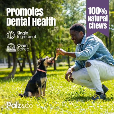 Show full view: Palz&Co Rabbitdog Rabbit Ears Dog Natural Chew Treats, 10-oz bag, 15 count slide 9 of 10