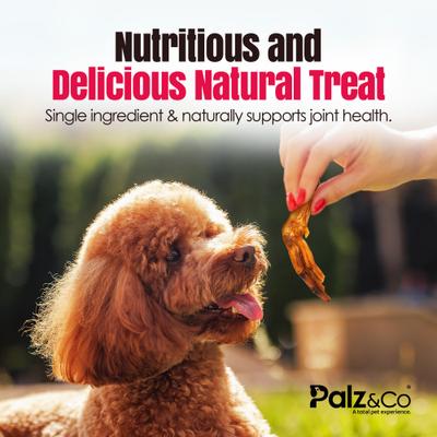Show full view: Palz&Co Birddog Duck Feet Dog Natural Chew Treats, 6-oz bag, 10 count slide 5 of 10