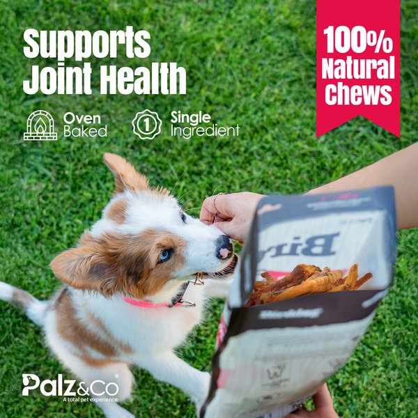 Show full view: Palz&Co Birddog Chicken Feet Dog Natural Chew Treats, 17.5-oz bag, 35 count slide 9 of 10