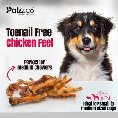 Show full view: Palz&Co Birddog Chicken Feet Dog Natural Chew Treats, 6-oz bag, 10 count slide 7 of 10