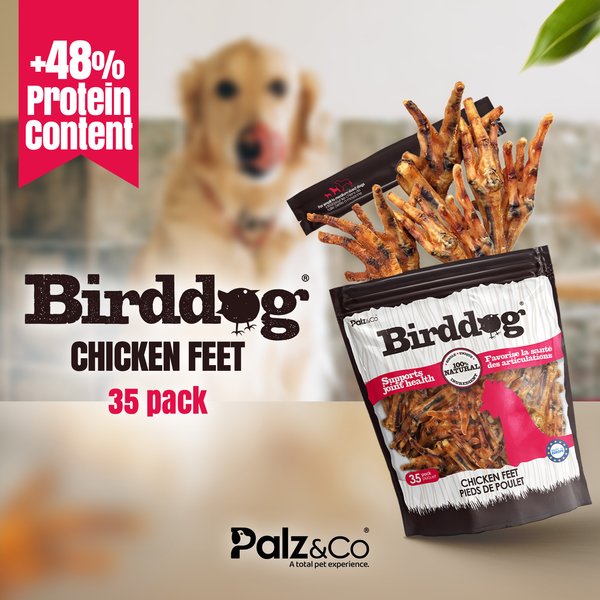 Show full view: Palz&Co Birddog Chicken Feet Dog Natural Chew Treats, 17.5-oz bag, 35 count slide 4 of 10