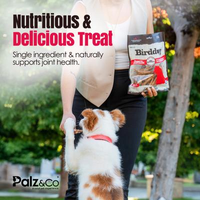 Show full view: Palz&Co Birddog Chicken Feet Dog Natural Chew Treats, 17.5-oz bag, 35 count slide 5 of 10