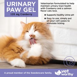 Vet Worthy Paw Gel Feline Urinary Support Supplement for Cats, 3-oz tube slide 2 of 3