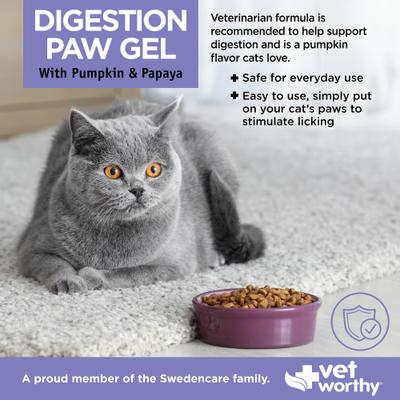 Show full view: Vet Worthy Paw Gel Feline Digestive Aid Supplement for Cats, 3-oz tube slide 4 of 4