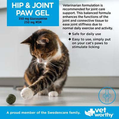 Show full view: Vet Worthy Paw Gel Feline Hip & Joint Supplement for Cats, 3-oz tube slide 4 of 4