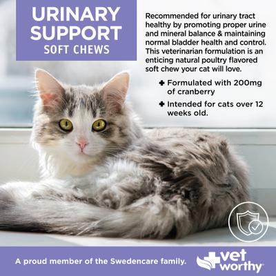 Show full view: Vet Worthy Feline Soft Chew Urinary Aid Supplement for Cats, 60 count slide 4 of 4