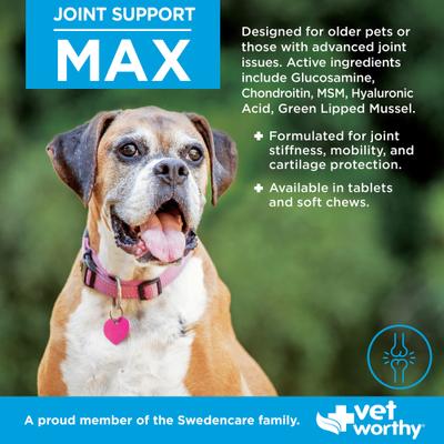 Show full view: Vet Worthy Max Chewable Tablet Joint Support Supplement for Dogs, 90 count slide 4 of 4