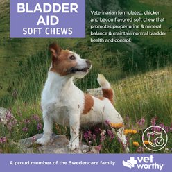 Vet Worthy Pumpkin Seed & Cranberry Soft Chew Bladder Aid Supplement for Dogs, 60 count slide 2 of 3