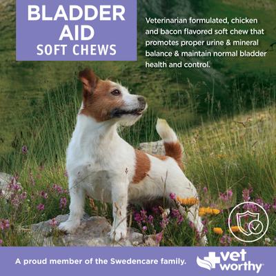 Show full view: Vet Worthy Pumpkin Seed & Cranberry Soft Chew Bladder Aid Supplement for Dogs, 60 count slide 4 of 4