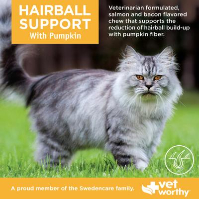 Show full view: Vet Worthy Feline Hairball Support with Pumpkin Soft Chew Skin & Coat Supplement for Cats, 60 count slide 4 of 4