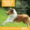 Show in main carousel: Vet Worthy Soft Chew Skin & Coat Supplement for Dogs 30 count slide 4 of 4