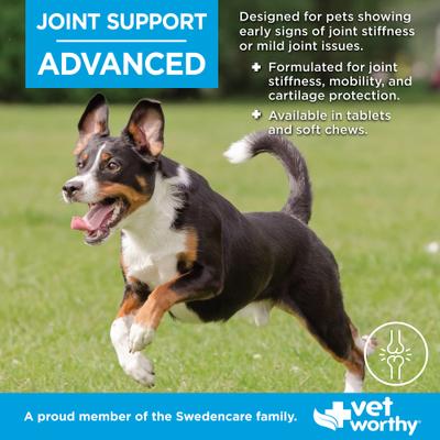 Show full view: Vet Worthy Advanced Chewable Tablet Joint Support Supplement for Dogs, 90 count slide 3 of 4