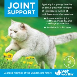 Vet Worthy Feline Soft Chew Hip & Joint Support Supplement for Dogs, 60 count slide 2 of 3