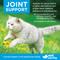 Show in main carousel: Vet Worthy Feline Soft Chew Hip & Joint Support Supplement for Dogs, 60 count slide 4 of 4