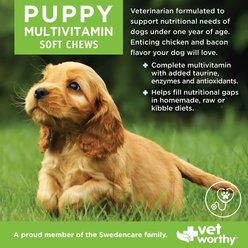 Vet Worthy Multi-Vitamins Soft Chew Supplement for Puppies, 60 count slide 2 of 3