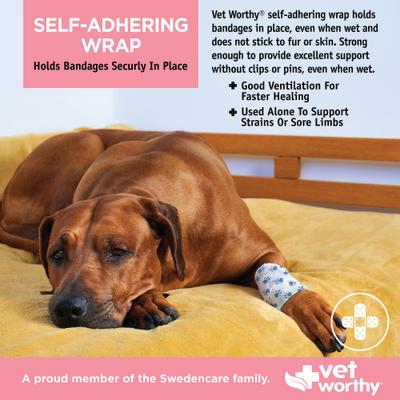 Show full view: Vet Worthy 3 Colors Paw Self Adhering Wrap for Dogs slide 4 of 4