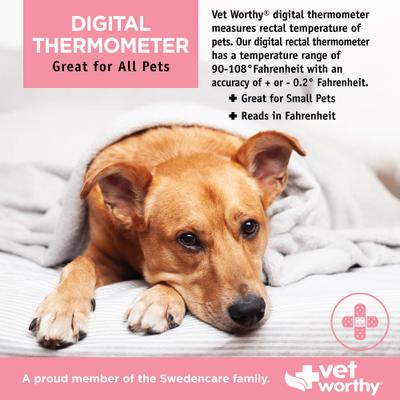 Show full view: Vet Worthy Digital Thermometer for Dogs slide 4 of 4
