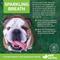 Show in main carousel: Vet Worthy Sparkling Breath Liquid Dental Rinse Supplement for Dogs, 16-fl oz bottle slide 4 of 4