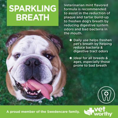 Show full view: Vet Worthy Sparkling Breath Liquid Dental Rinse Supplement for Dogs, 16-fl oz bottle slide 4 of 4