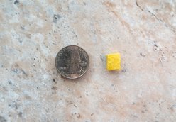 Pupford Diced Pumpkin Freeze-Dried Limited Ingredient Dog Treats, 4-oz bag slide 2 of 7