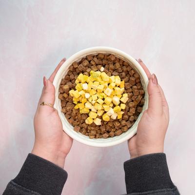 Show full view: Pupford Diced Pumpkin Freeze-Dried Limited Ingredient Dog Treats, 2-oz bag slide 5 of 10