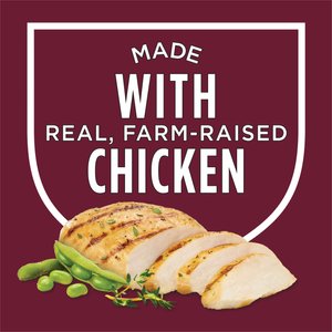 Cat Chow Essentials 7+ Immune + Joint Health Recipe Senior Dry Cat Food, 14-lb bag