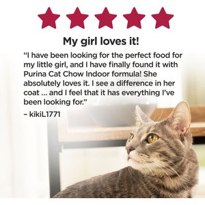 Cat Chow Essentials 7+ Immune + Joint Health Recipe Senior Dry Cat Food, 14-lb bag