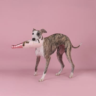 Show full view: CHEWFFON Rose Champagne Valentine Birthday Gift Celebrate Plush Squeaky Dog Toy, Pink slide 4 of 7