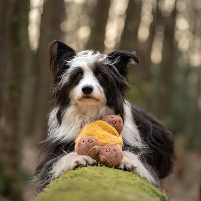 Show full view: CHEWFFON Chestnuts Set Interactive Hide & Seek Burrow Squeaky Crinkle Dog Toy, Yellow slide 7 of 9