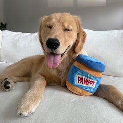 CHEWFFON Peanut Butter Jar Interactive Enrichment Puzzle Crinkle Snuffle Dog Toy, Blue slide 2 of 8