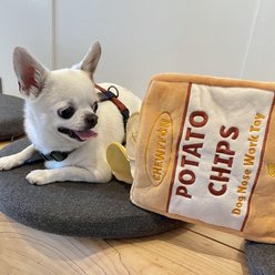 CHEWFFON Potato Chips Interactive Enrichment Puzzle Crinkle Treat Dog Toy, Yellow slide 2 of 7