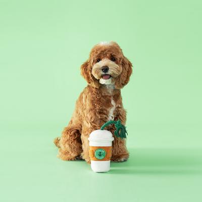 Show full view: CHEWFFON Coffee Cup Interactive Snuffle Squeaky Crinkle Dog Toy, White slide 5 of 5