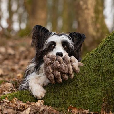 Show full view: CHEWFFON Pinecone Interactive Treat Dispensing Squeaky Plush Dog Toy, Brown slide 5 of 8