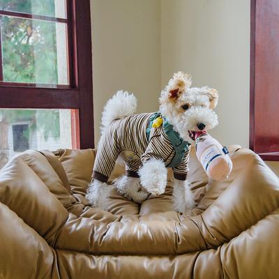 Show full view: CHEWFFON Rose Champagne Valentine Birthday Gift Celebrate Plush Squeaky Dog Toy, Pink slide 6 of 7