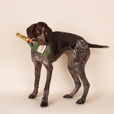 Show full view: CHEWFFON Champagne Birthday Gift Celebrate Plush Squeaky Dog Toy, Green slide 4 of 6