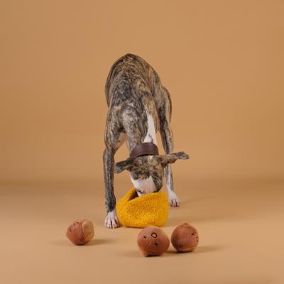 Show full view: CHEWFFON Chestnuts Set Interactive Hide & Seek Burrow Squeaky Crinkle Dog Toy, Yellow slide 5 of 9