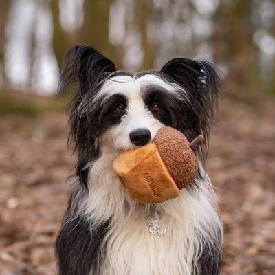 Show full view: CHEWFFON Acorn Enrichment Crinkle Hide & Seek Puzzle Dog Toy, Brown slide 6 of 9