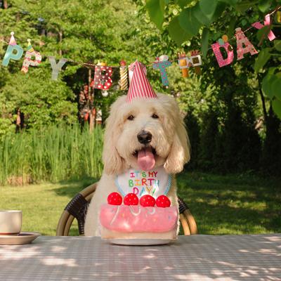 Show full view: CHEWFFON Strawberry Rollcake Valentine Snuffle Mat Enrichment Interactive Birthday Crinkle Dog Toy, Pink slide 7 of 7