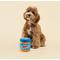 Show in main carousel: CHEWFFON Peanut Butter Jar Interactive Enrichment Puzzle Crinkle Snuffle Dog Toy, Blue slide 6 of 9