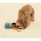 Show in main carousel: CHEWFFON Peanut Butter Jar Interactive Enrichment Puzzle Crinkle Snuffle Dog Toy, Blue slide 5 of 9