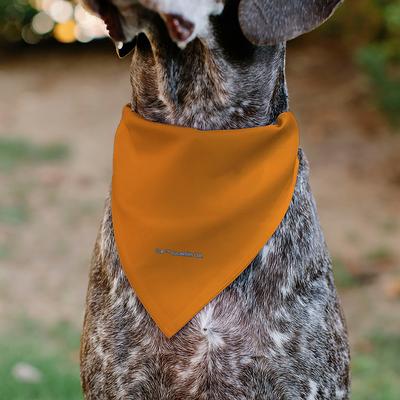 Show full view: Buckle-Down Star Wars Text & Rebel Alliance Insignia Dog Bandana slide 5 of 6