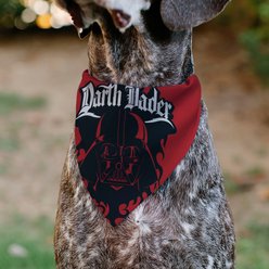Buckle-Down Star Wars Darth Vader Face & Text Flame Dog Bandana slide 2 of 6