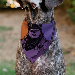 Buckle-Down Star Wars Ewok Text & Wicket Pop Art Dog Bandana slide 2 of 6