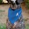 Show in main carousel: Buckle-Down Star Trek The Original Series Blue Uniform Print Dog Bandana slide 5 of 7
