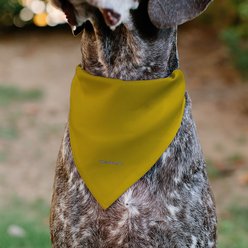 Buckle-Down Star Trek The Original Series Captain Kirk Golden Uniform Dog Bandana slide 2 of 6
