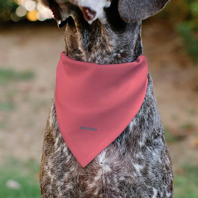 Show full view: Buckle-Down Spongebob Squarepants Patrick Star Face Close Up Dog Bandana slide 5 of 6